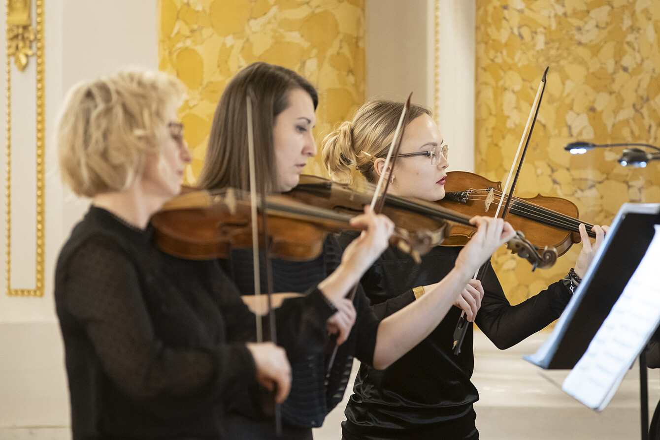 IL GRANDE VINCITORE / ARIE DLA SENESINA 11.12.2021 Fot. Maciej Czerski